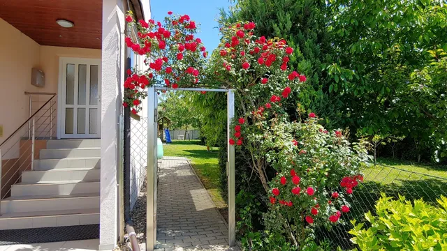 Ubytování Markéta