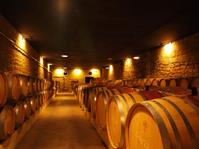 Thabuca - Rioja Wine Tours