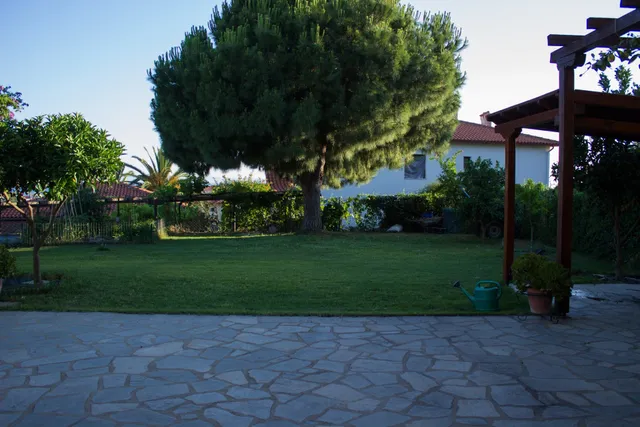 Pinehouse King Suite