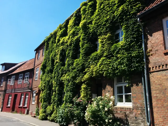 Ferienwohnungen Engler Lüneburg