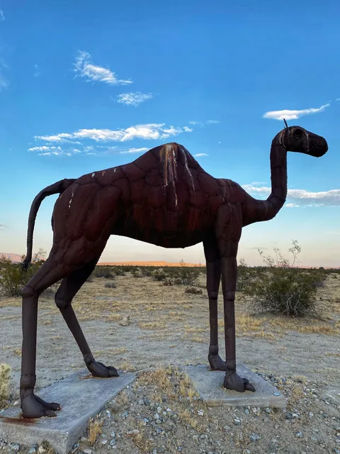 Camelids & Llamas Sculptures