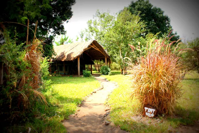Udzungwa Forest Lodge - Hondo Hondo