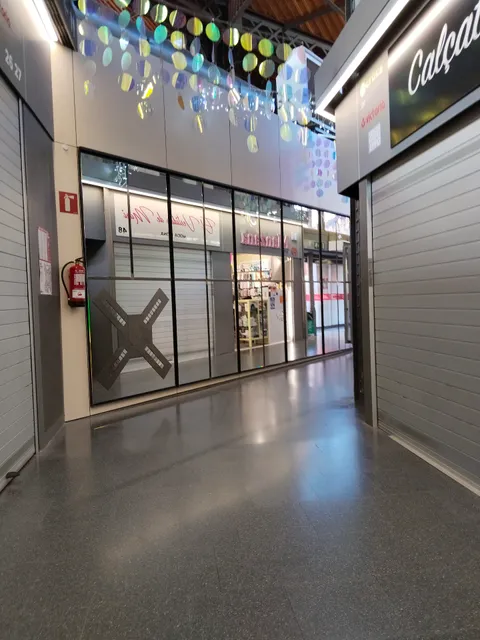 Encants de Sant Antoni