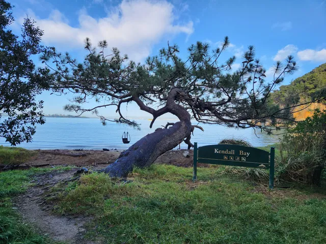 Kauri Point Centennial Park Hiking Path Access Point