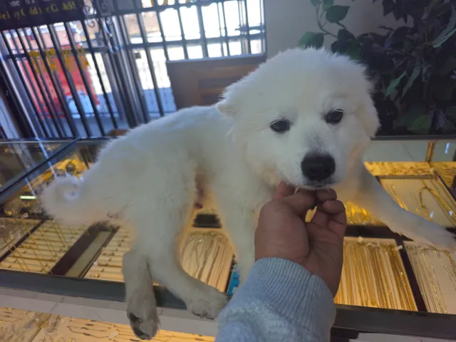 Trust Jewelry & Repair