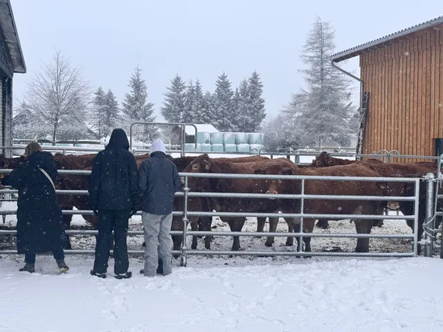 Bauernhofpension Hof Gretchens