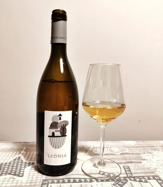 Cantina MonteCorneo 570