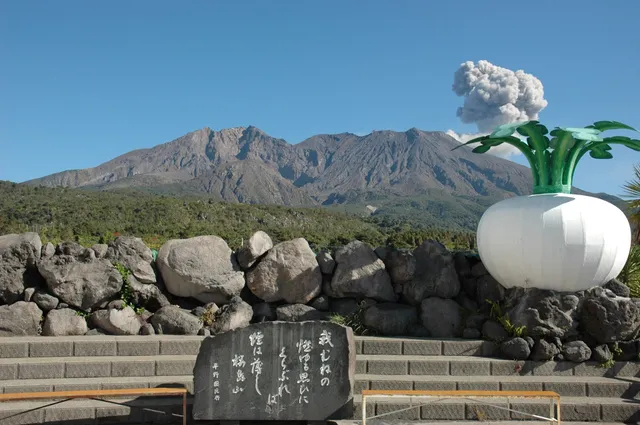 Sakurajima Souvenir shop