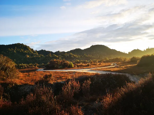 Pokaka Mill Campsite