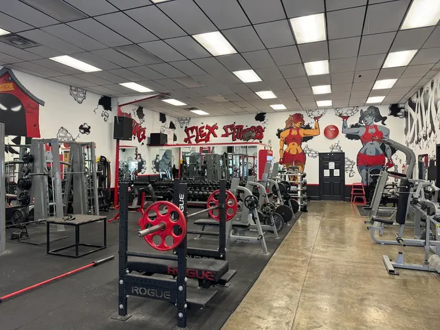 Flex Fitness