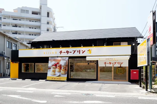 Marugoto Chita Cheetah Pudding