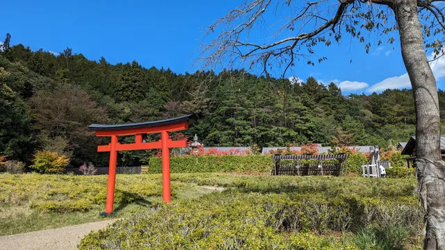 Ninjutsu Shinto no Michi