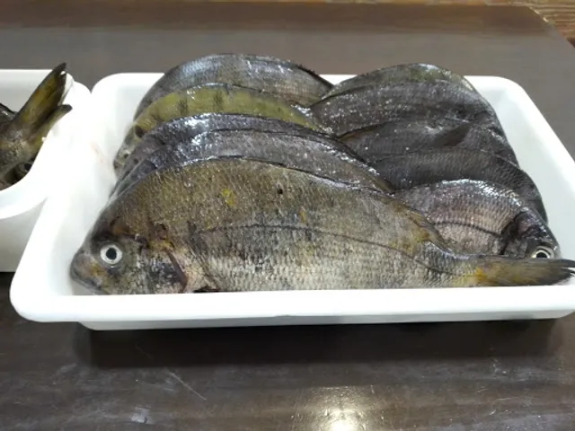 SIDRERIA CANTELI GIJON