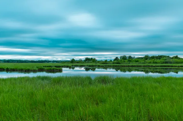 Marsh Observation Tower