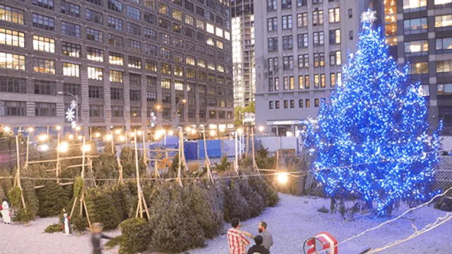 SoHo Trees: Christmas Tree Shop in NYC