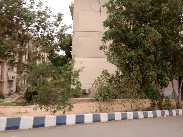 Butterfly Park Askari IV