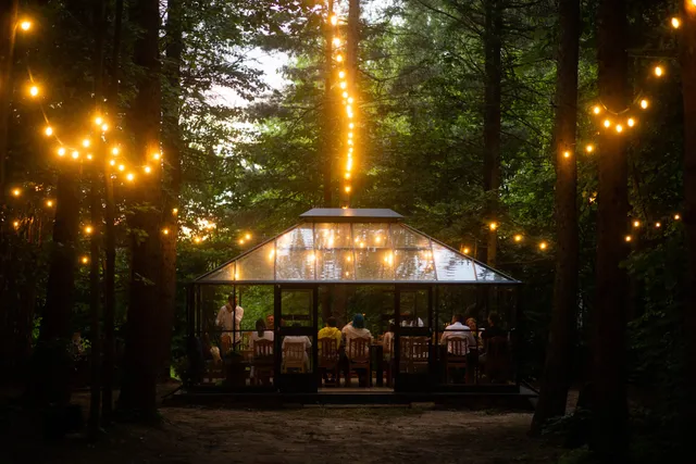 Baśnie z mchu i paproci