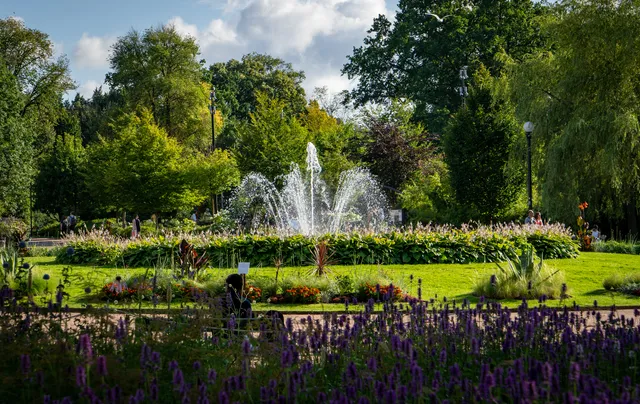 Trädgårdsföreningen Playground