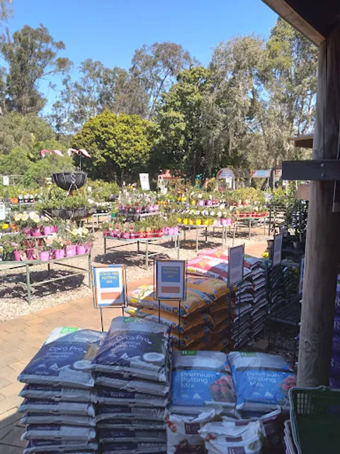 Lorikeet's Coffee Shop