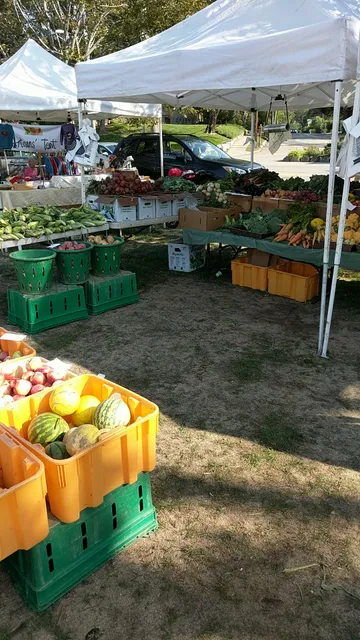 Lexington Farmer's Market