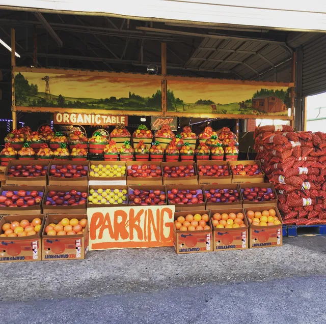 Dallas Sweet Harvest