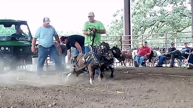 Labette County Fairgrounds