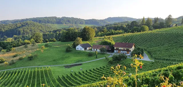 Tavern and viticulture Trummer