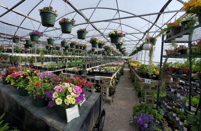 Redbud Farms & Nurseries