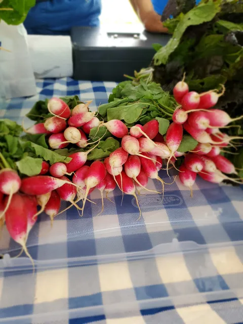 Veggie Park Farmers Market