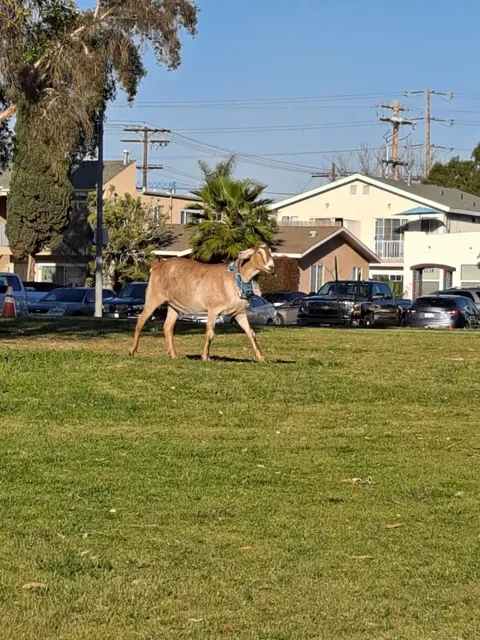 North Park Recreation Center