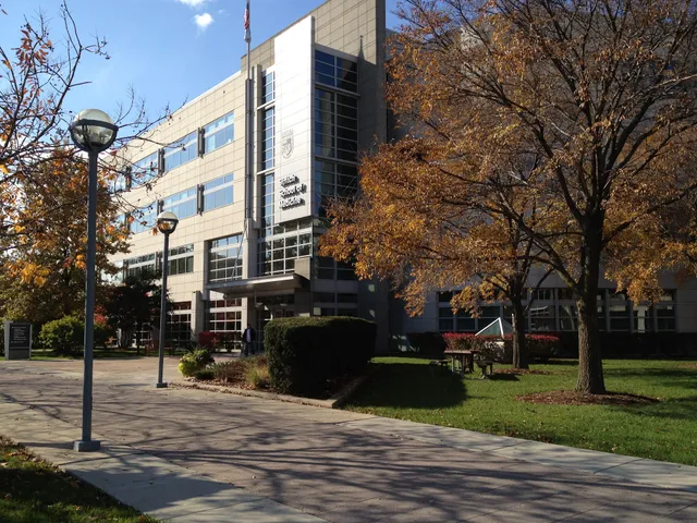 stritch school of medicine