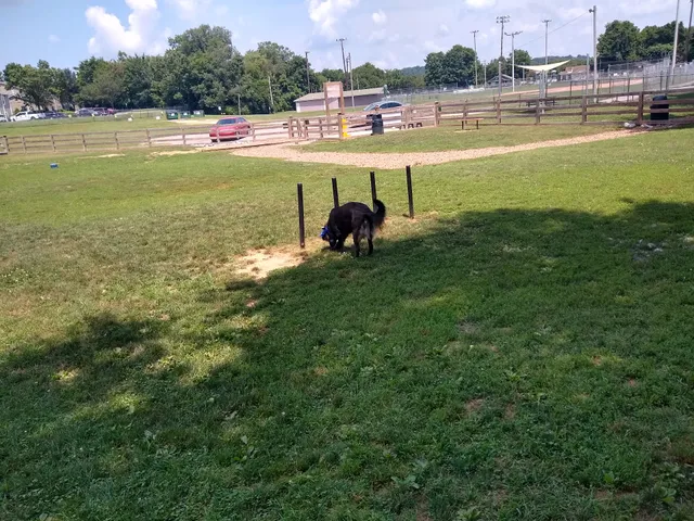 Spring Hill Bark Park