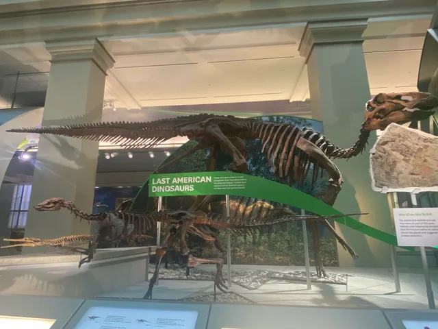 National Museum of Natural History Food Kiosk