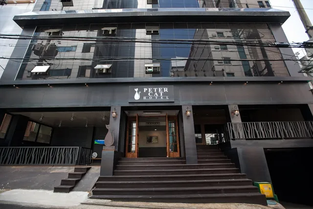 Petercat Hotel Shinchon, Seoul