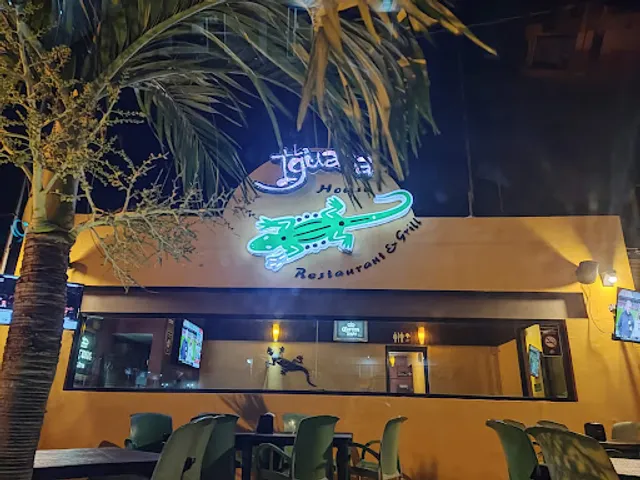 La Iguana Col. Alemán