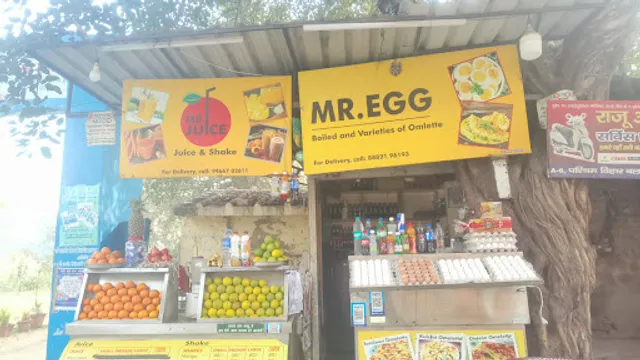 MR EGG