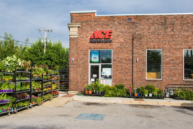 Waverly Ace Hardware