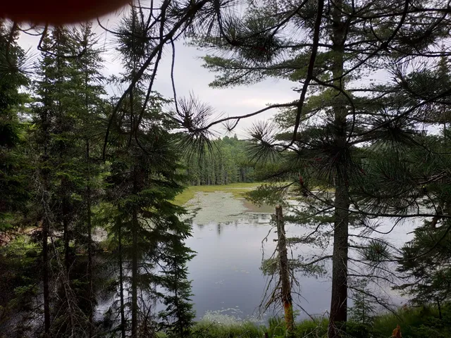 Opeongo River Provincial Park