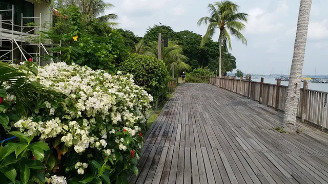 Changi Boardwalk