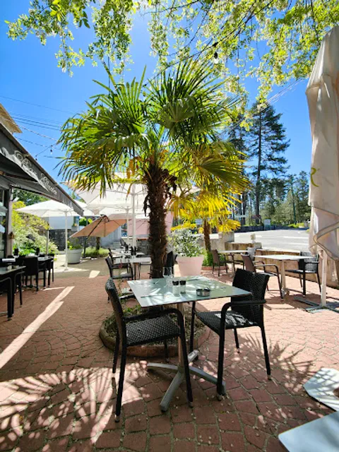 La Renaissance HÔTEL RESTAURANT SAINT FERRÉOL