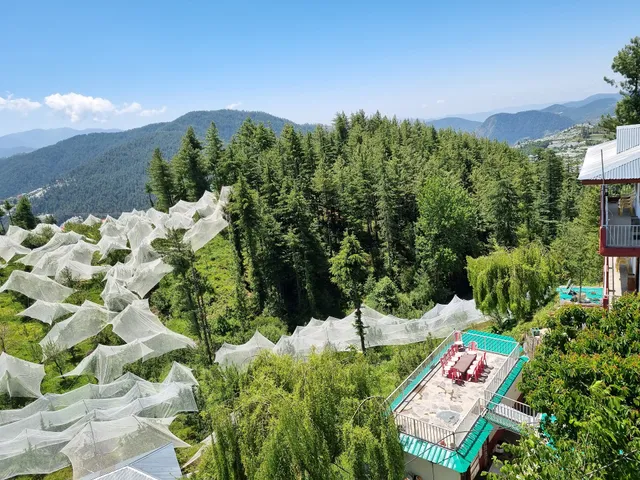 Northmoon Homestay Shimla