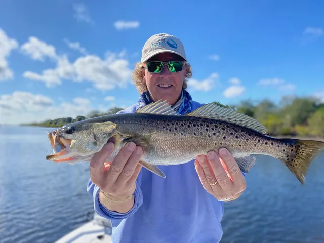 Tampa Bay Flats Fishing