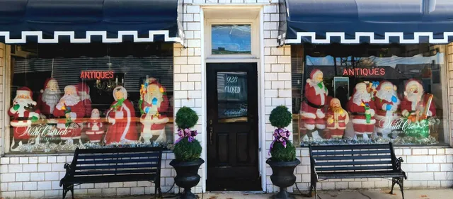 Wild Ostrich Antiques