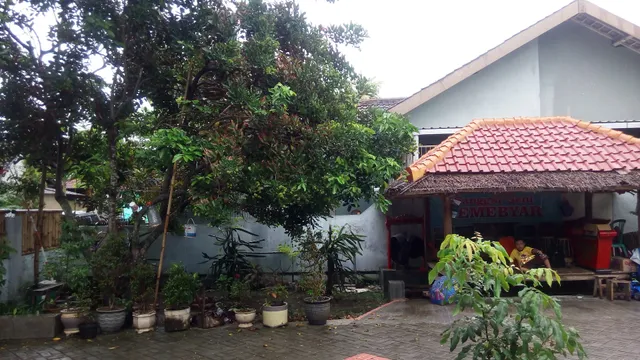 Guest house/home Stay For traveler