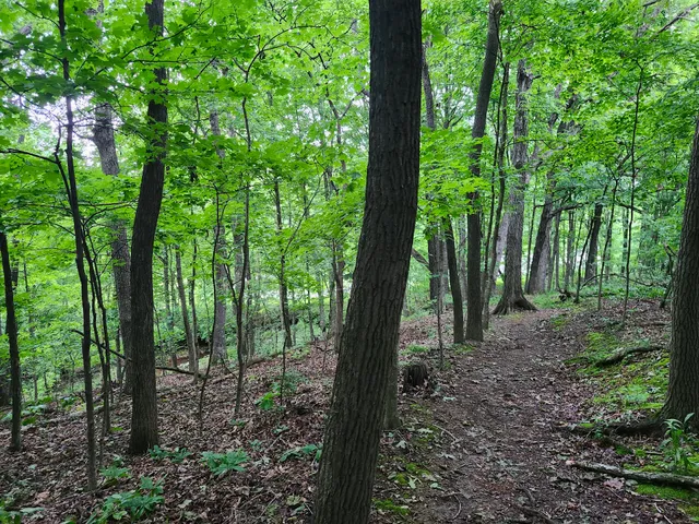 Broemmelsiek Park Cattle Ridge Trail