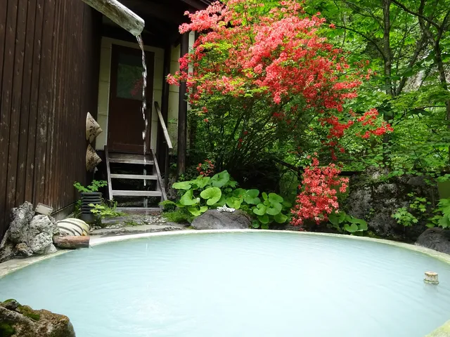 Tsuribashi no yado Sansuikan Yugawaso