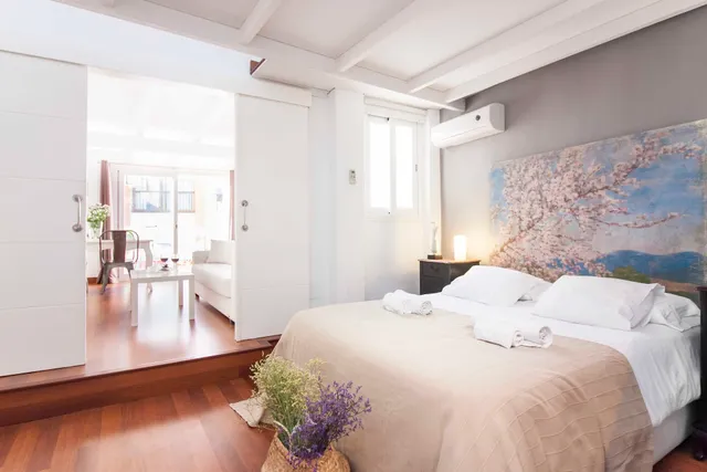 Malaga Center Flat Comedias