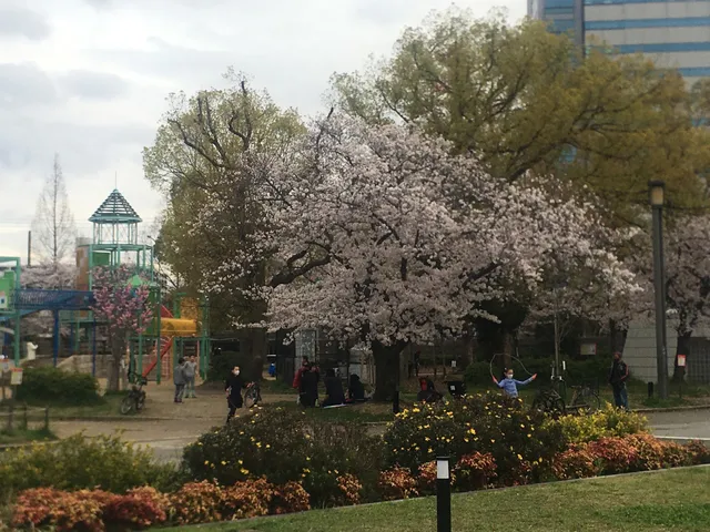 Forest of Memorial Trees