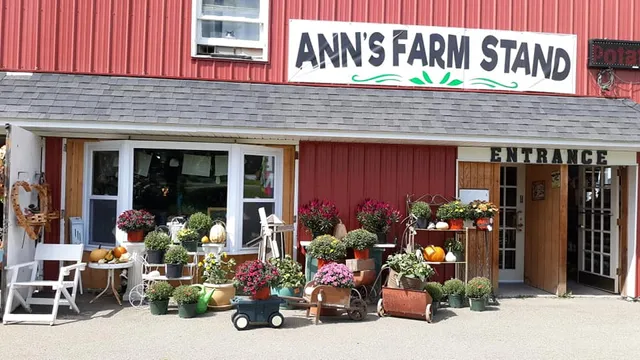 Ann's Country Corner