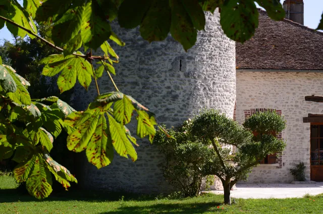 Domaine du Vieux Donjon
